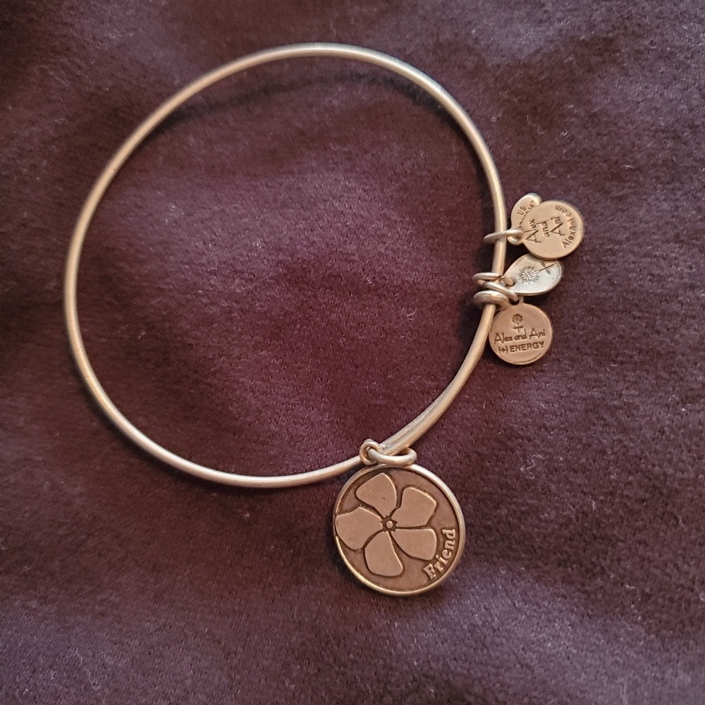 Alex and Ani friends bracelet
